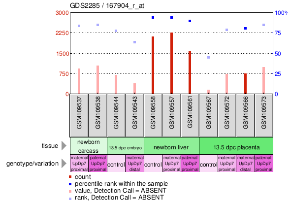 Gene Expression Profile