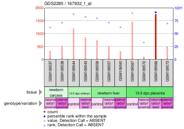 Gene Expression Profile