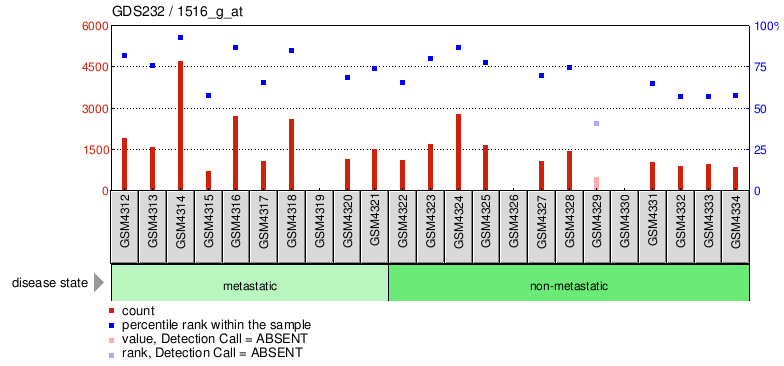 Gene Expression Profile