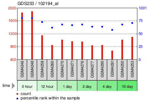 Gene Expression Profile