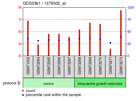 Gene Expression Profile