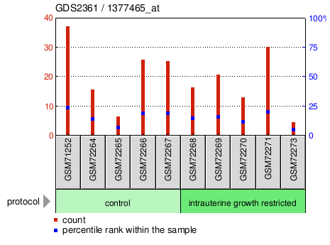 Gene Expression Profile