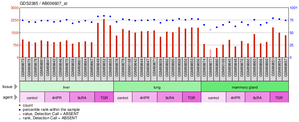 Gene Expression Profile