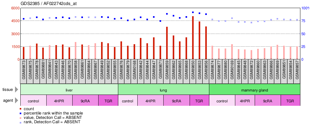 Gene Expression Profile