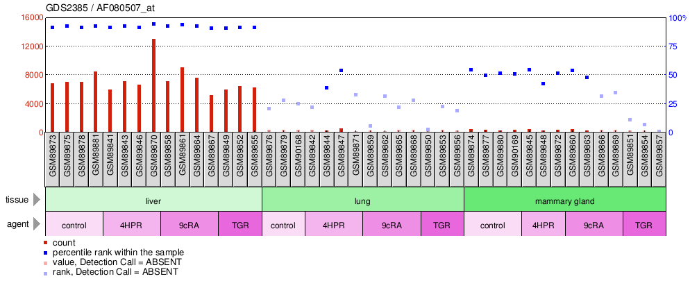 Gene Expression Profile