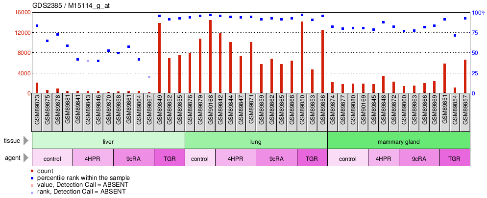 Gene Expression Profile