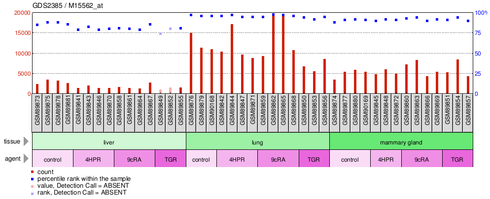 Gene Expression Profile