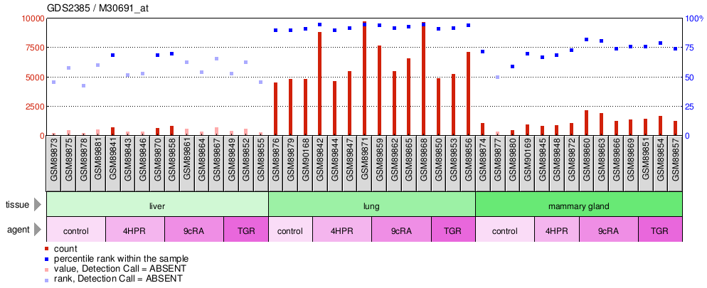 Gene Expression Profile