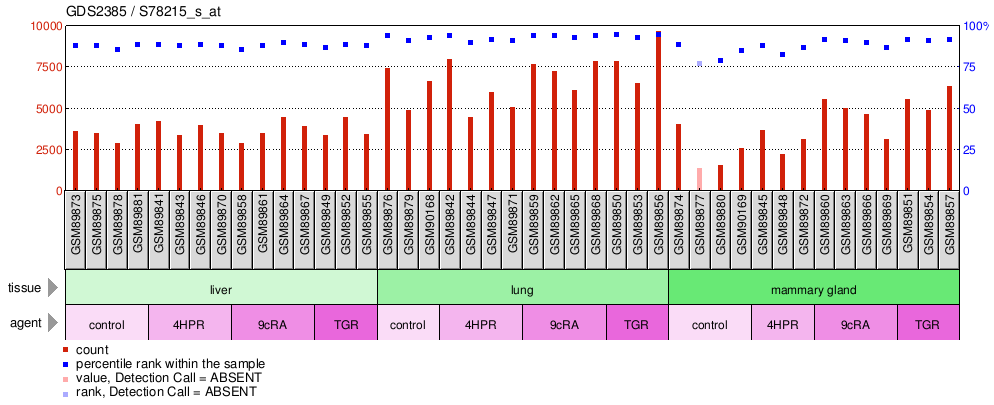 Gene Expression Profile