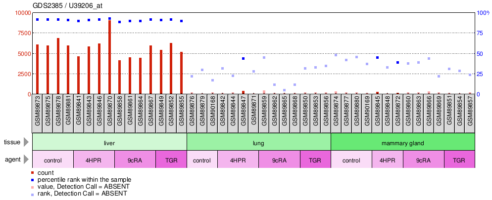 Gene Expression Profile