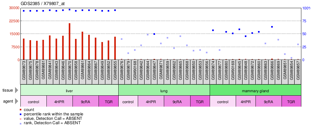 Gene Expression Profile