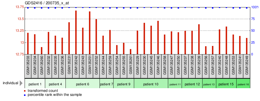 Gene Expression Profile