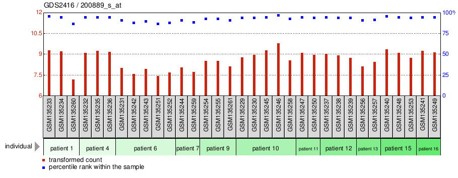 Gene Expression Profile