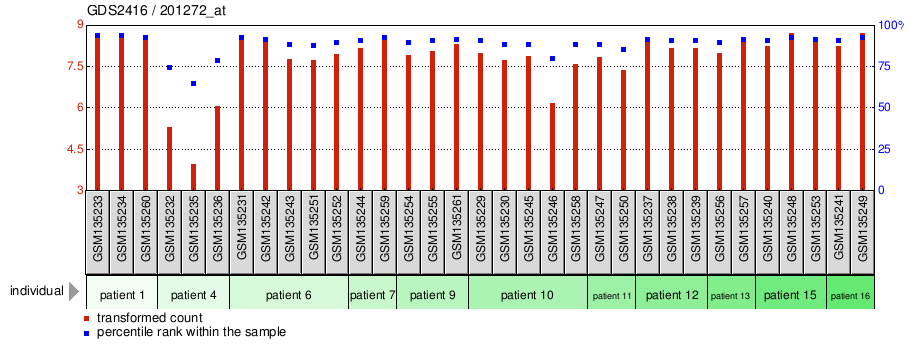 Gene Expression Profile