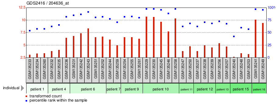 Gene Expression Profile