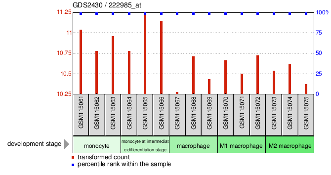 Gene Expression Profile