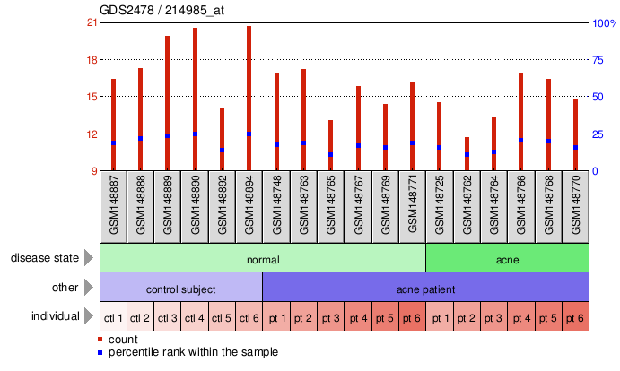 Gene Expression Profile