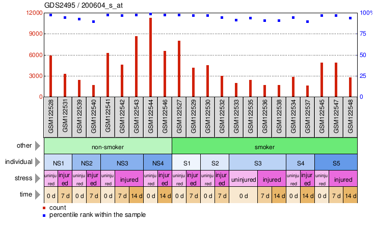 Gene Expression Profile