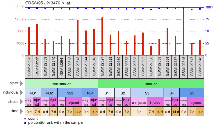 Gene Expression Profile