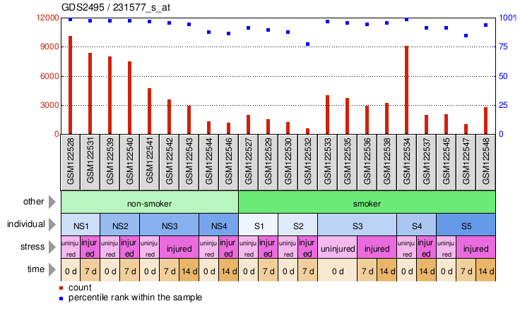 Gene Expression Profile