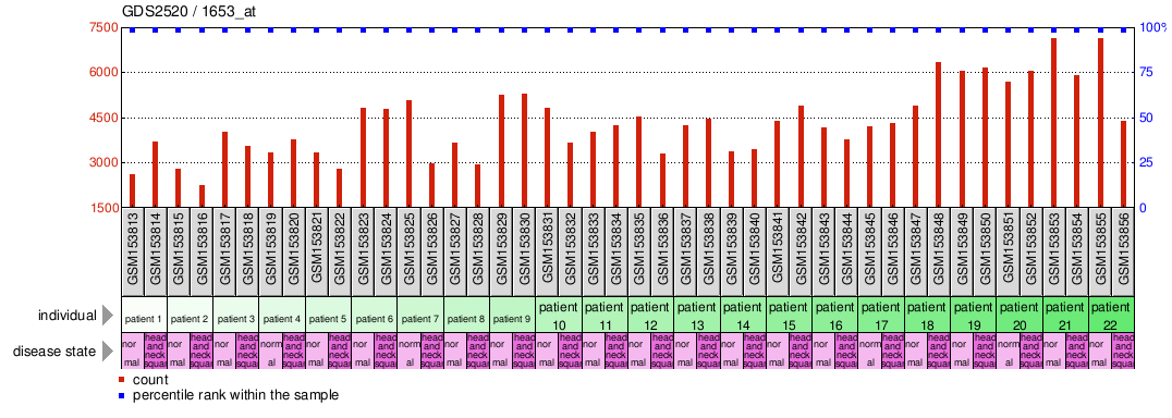 Gene Expression Profile