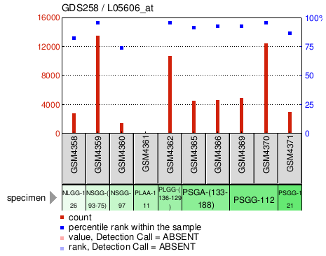 Gene Expression Profile