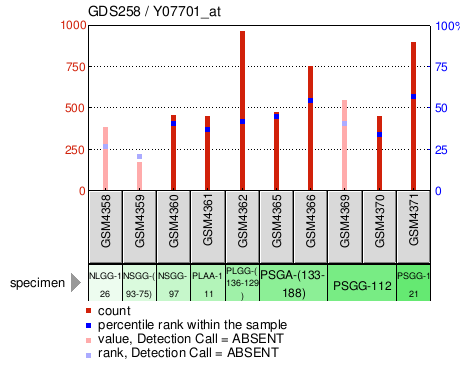 Gene Expression Profile