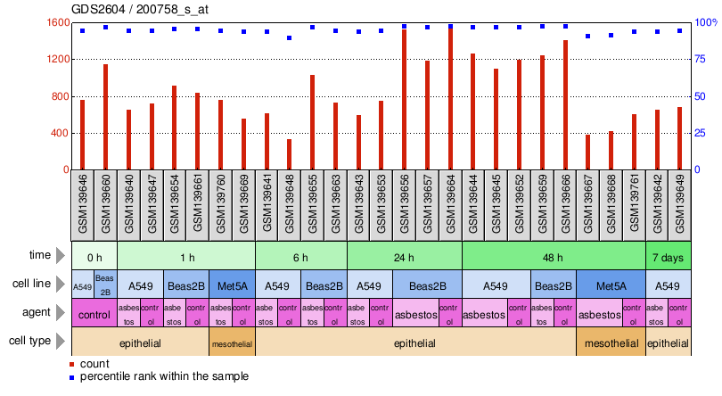 Gene Expression Profile