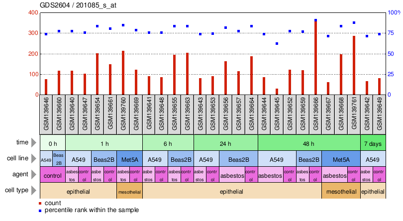 Gene Expression Profile