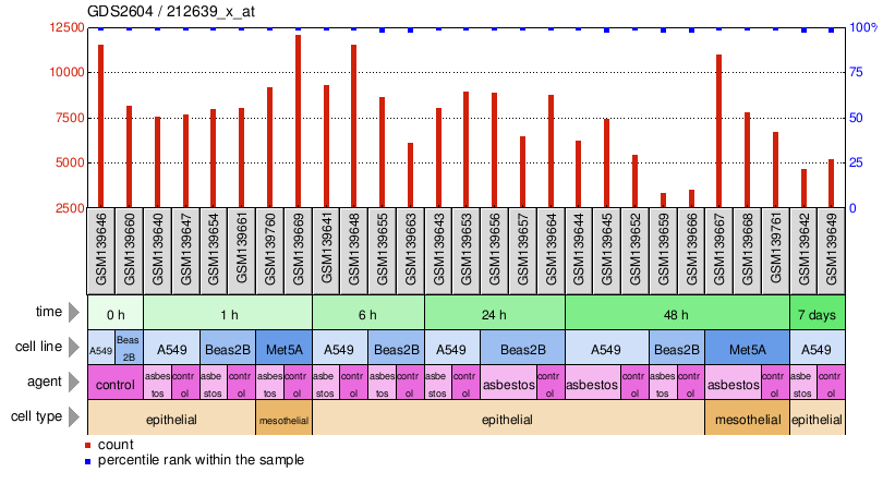 Gene Expression Profile