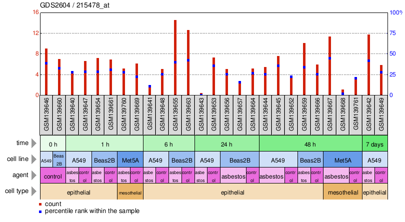 Gene Expression Profile