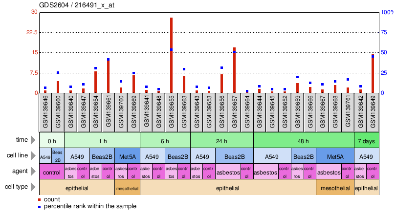 Gene Expression Profile