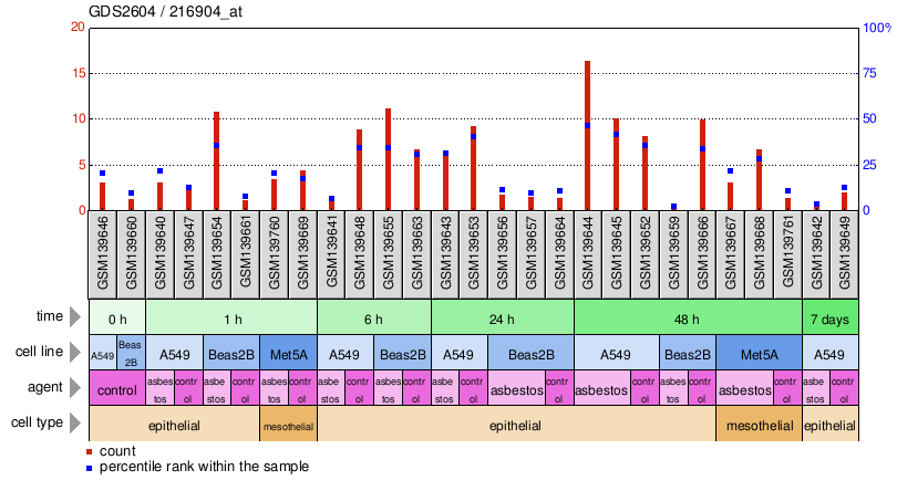 Gene Expression Profile