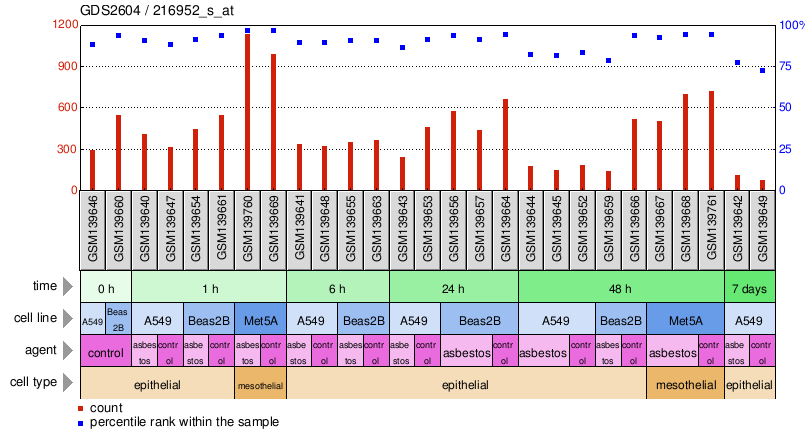 Gene Expression Profile