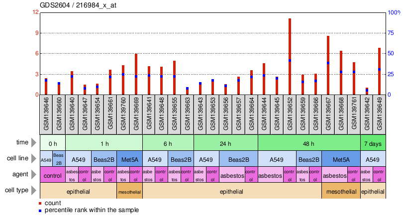 Gene Expression Profile