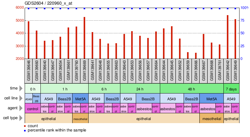 Gene Expression Profile