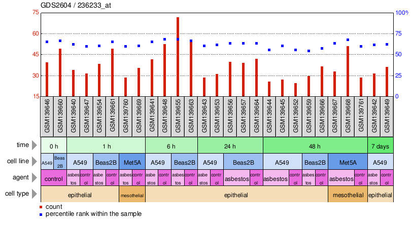 Gene Expression Profile