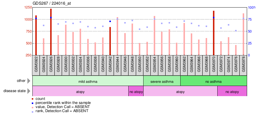 Gene Expression Profile