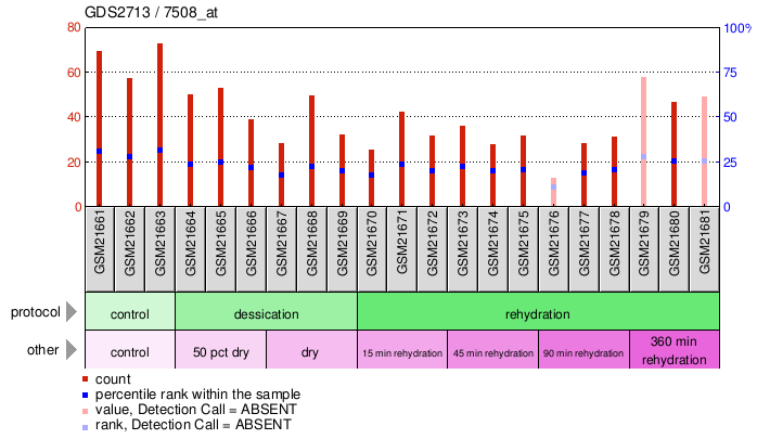 Gene Expression Profile