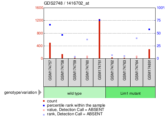 Gene Expression Profile