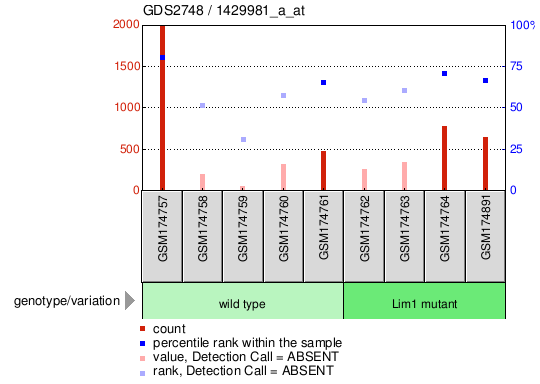 Gene Expression Profile