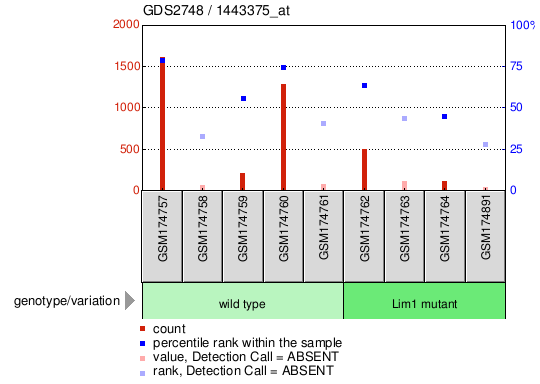 Gene Expression Profile