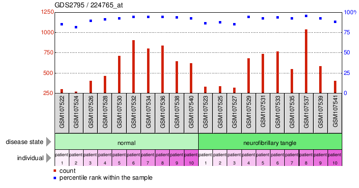 Gene Expression Profile