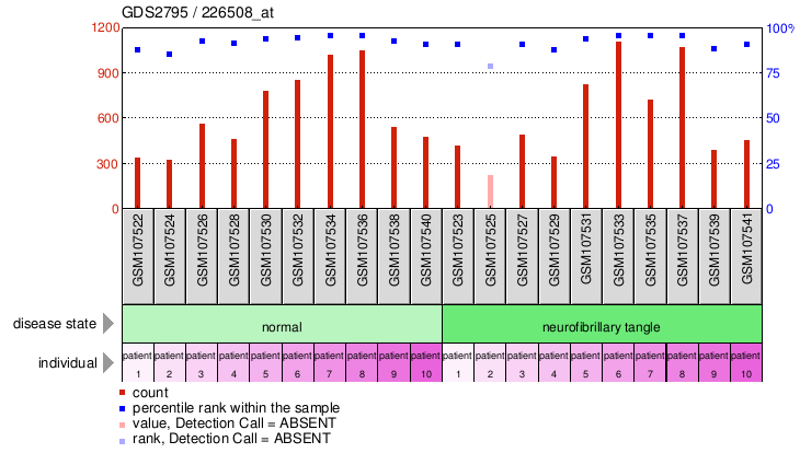 Gene Expression Profile