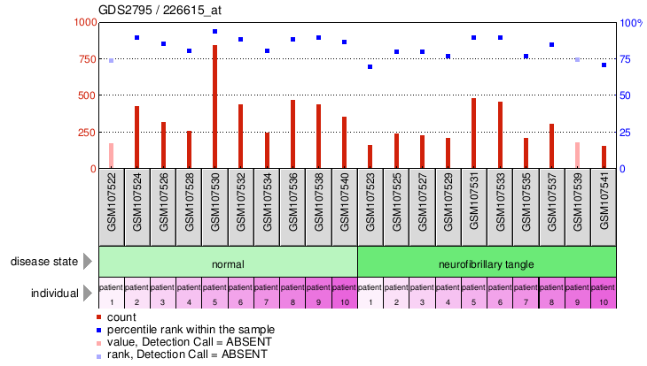 Gene Expression Profile