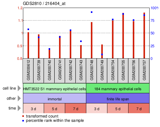 Gene Expression Profile