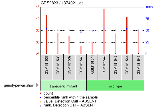 Gene Expression Profile