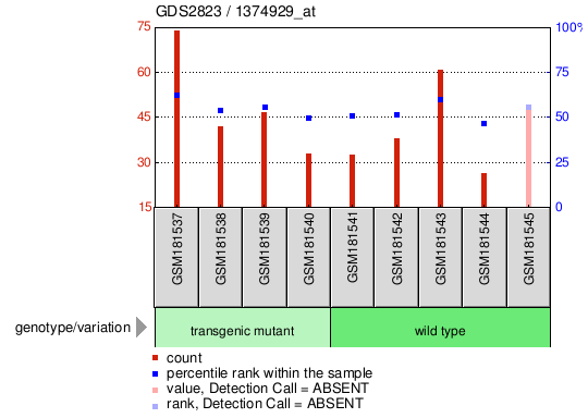 Gene Expression Profile