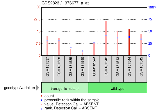 Gene Expression Profile