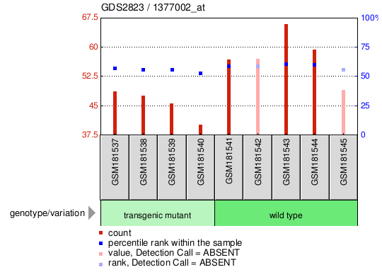 Gene Expression Profile